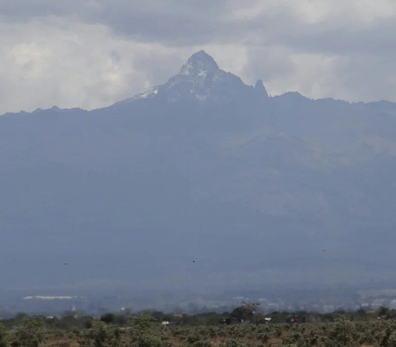 3 Days 2 Nights Nanyuki Private Safari Adventure — Stejos Tours