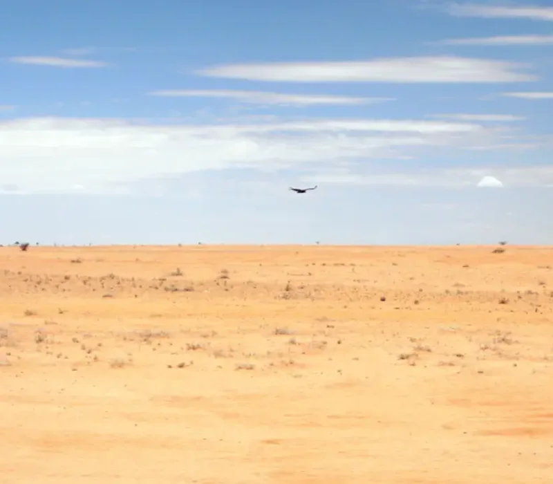 3-Day 2-Night Chalbi Desert Safari Experience