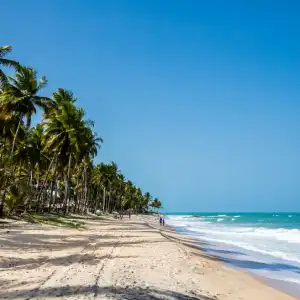 Stejos Tours & Travel - Beach Packages