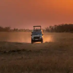Stejos Tours & Travel - Safari/Game Drive