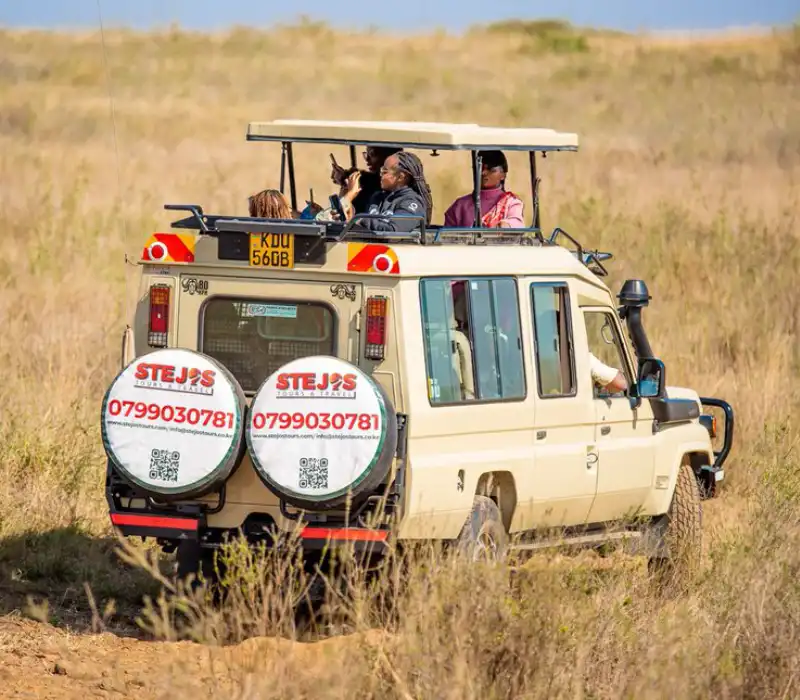 Landcruiser for Hire | 4x4 Safari Vehicles | Reliable Car Hire Services