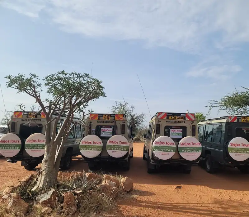 Landcruiser for Hire | 4x4 Safari Vehicles | Reliable Car Hire Services