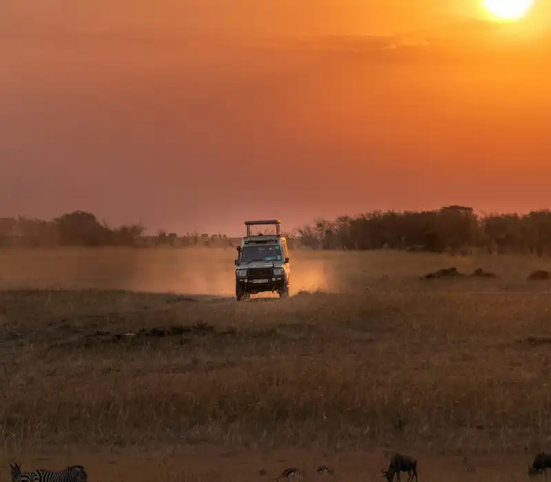 Landcruiser for Hire | 4x4 Safari Vehicles | Reliable Car Hire Services