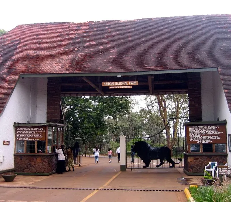 Nairobi National Park Half-Day Safari Experience