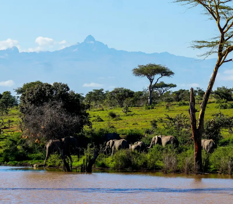7 Days 6 Nights Aberdare, Laikipia, Meru & Samburu Safari Package