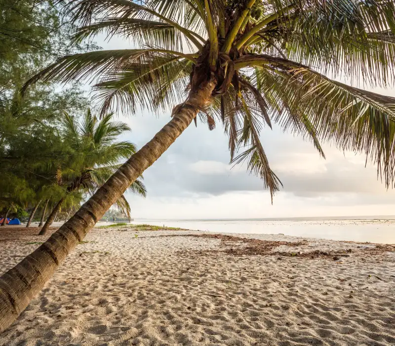 4 Days 3 Nights Easter North Coast Holiday Package