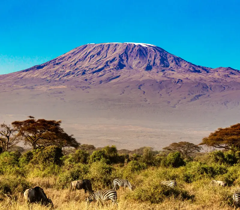 3 Days 2 Nights Amboseli Private Safari Package