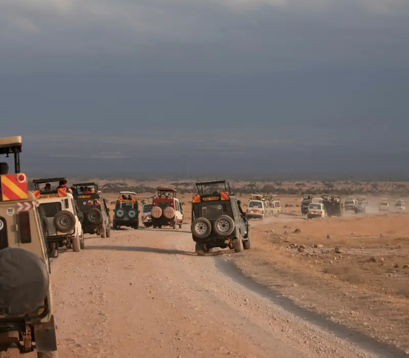 3 Days 2 Nights Amboseli Private Safari Package