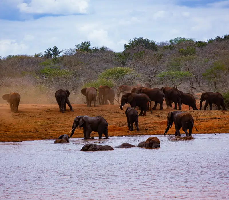 3 Days 2 Nights Tsavo Private Safari Package