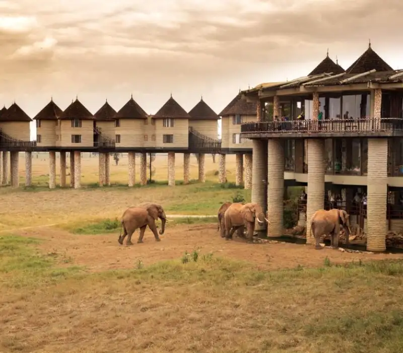 3 Days 2 Nights Tsavo Madaraka Express Safari Package