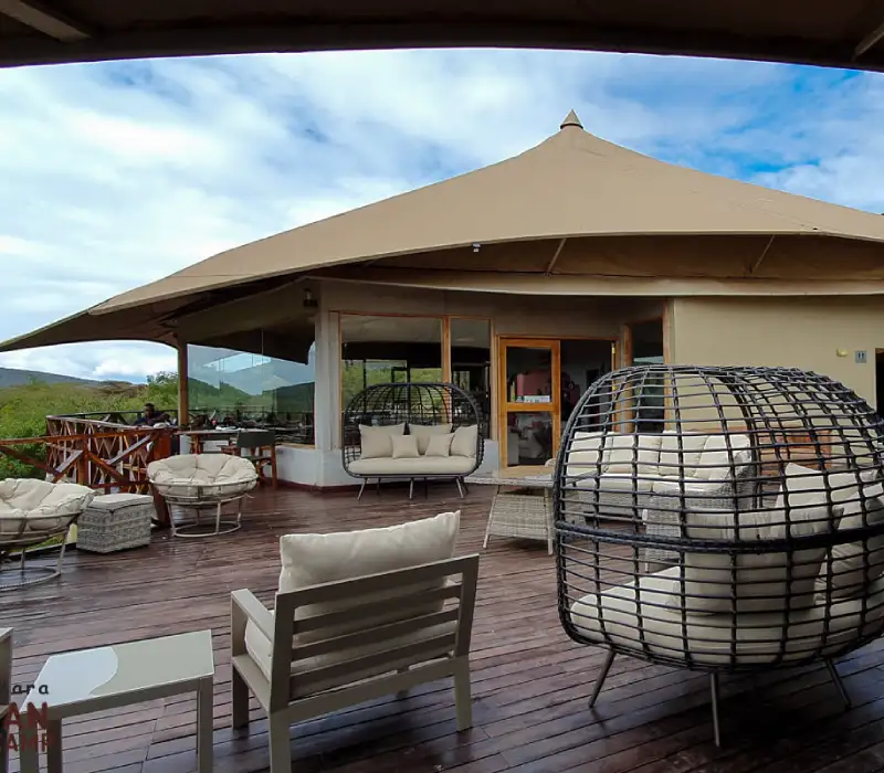 3 Days 2 Nights Maasai Mara Group Joining Festive Safari Package