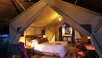 Sweetwaters Serena Camp, Ol Pejeta