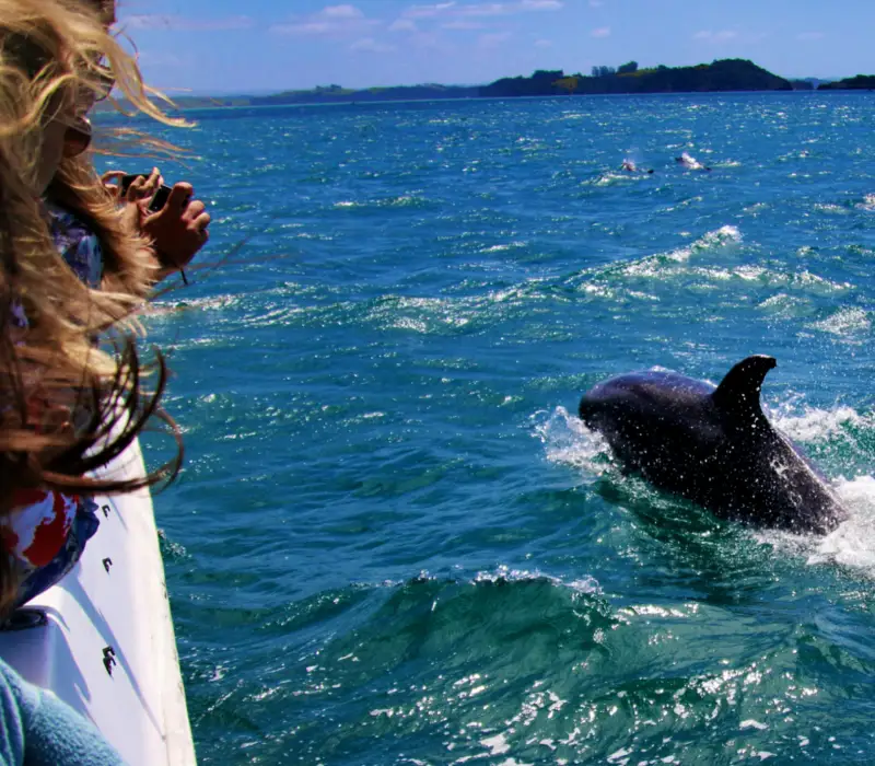 10 Day 09 Nights  Kenya Safari & Diani Beach Experience - Tsavo Safari Option