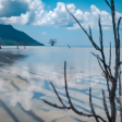 Syndics de copropriété dans le département Mayotte (Mayotte)