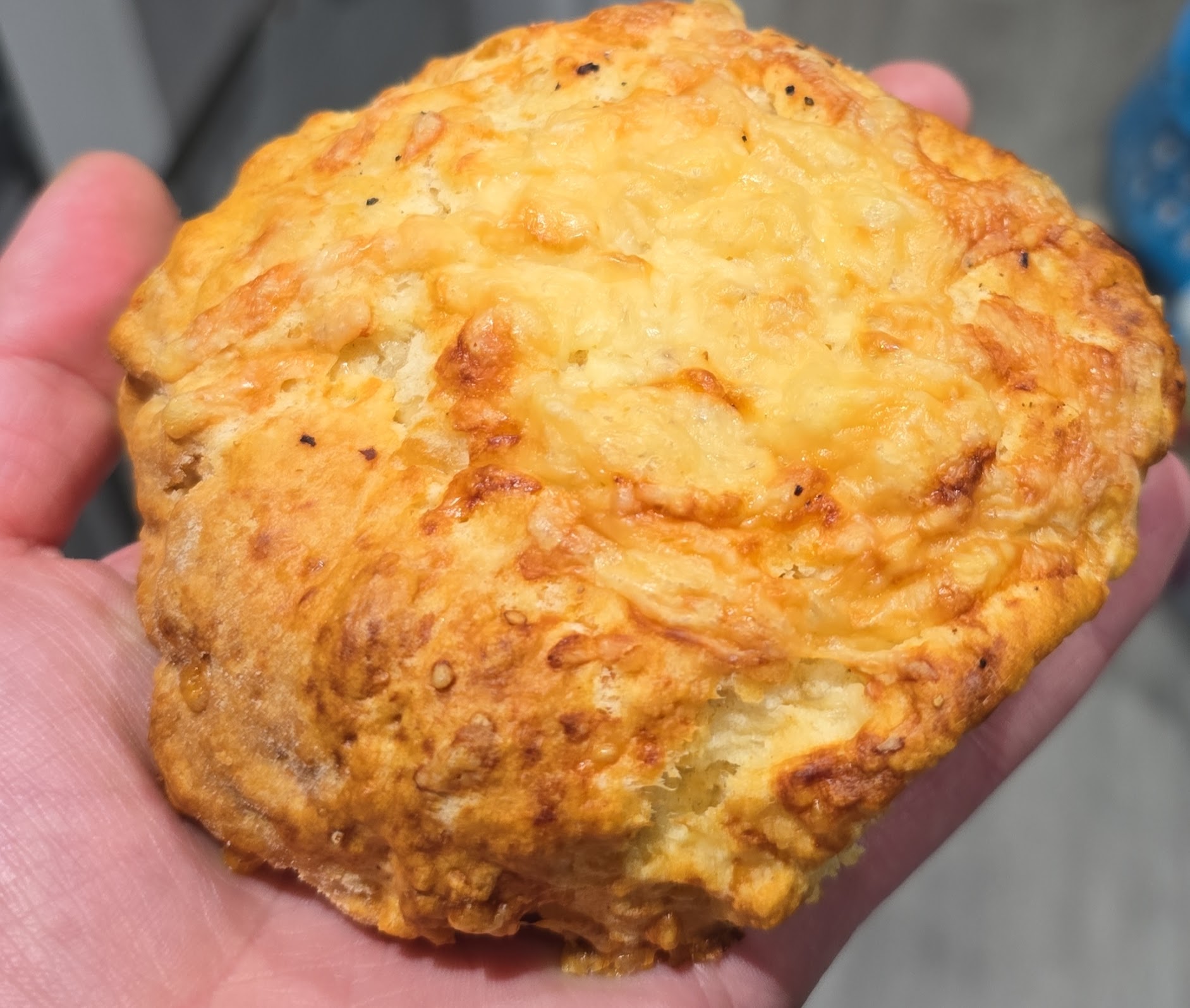 Cheese Scones