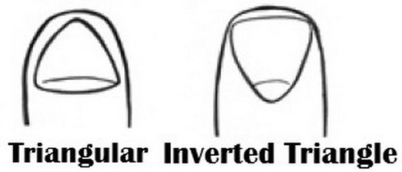 triangle2 triangle2