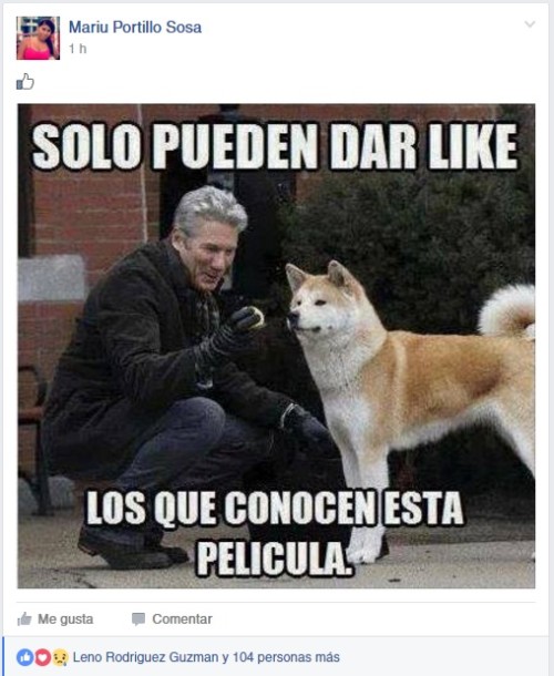 04_cds7da.jpg