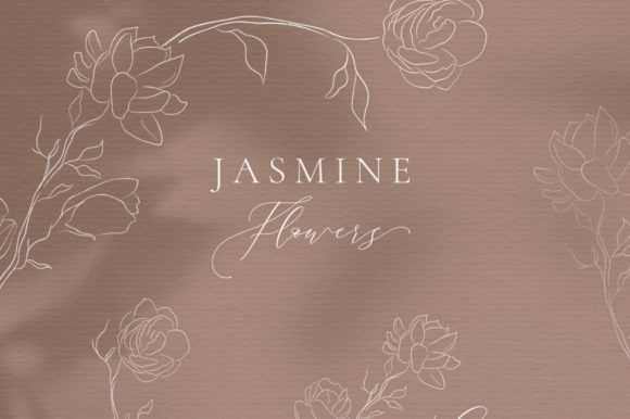 Jasmine Flower Line Art Coloring Design