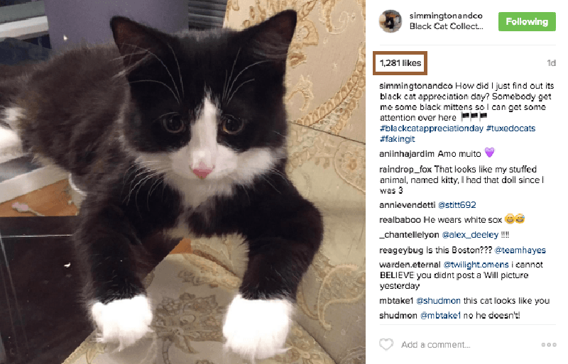 Котики раз