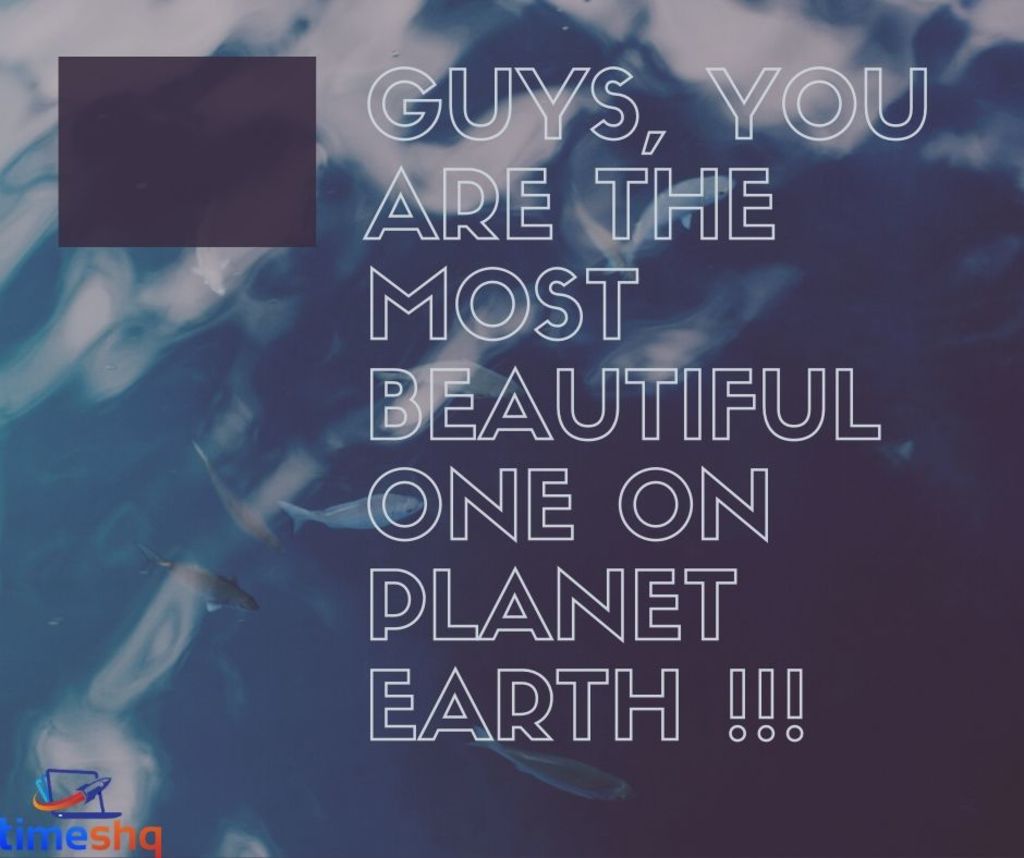 Cute Whatsapp Status for friends
