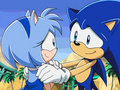 blue sonic and amy2