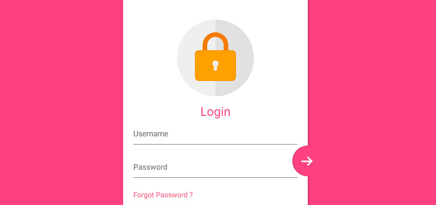 Login Form