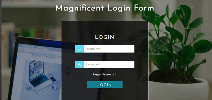 Magnificent Login Form