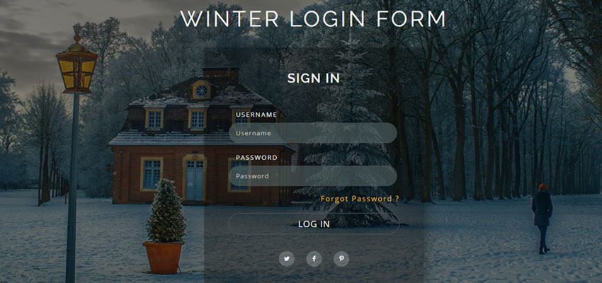 Winter Login Form