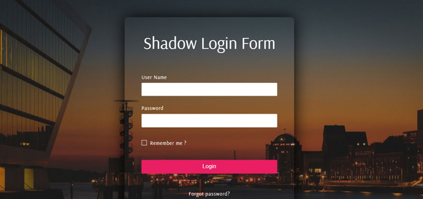 Shadow Login Form