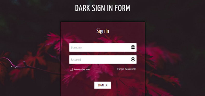 Dark Sign In Form