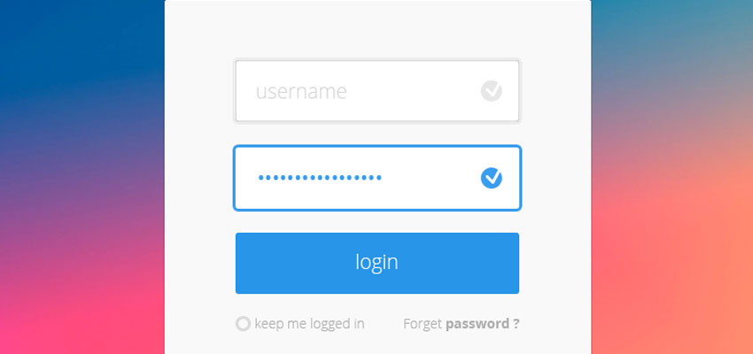 Login Form