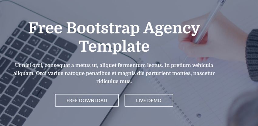 17-Free Bootstrap Agency Template