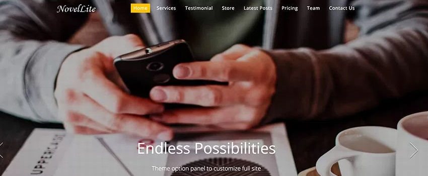 Novellite – One Page WordPress Theme
