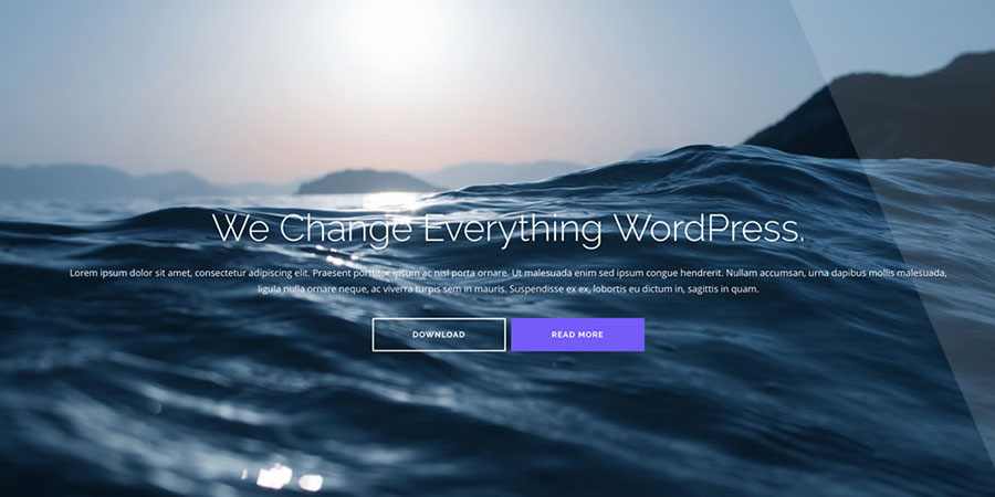 Shapely – One Page WordPress Theme