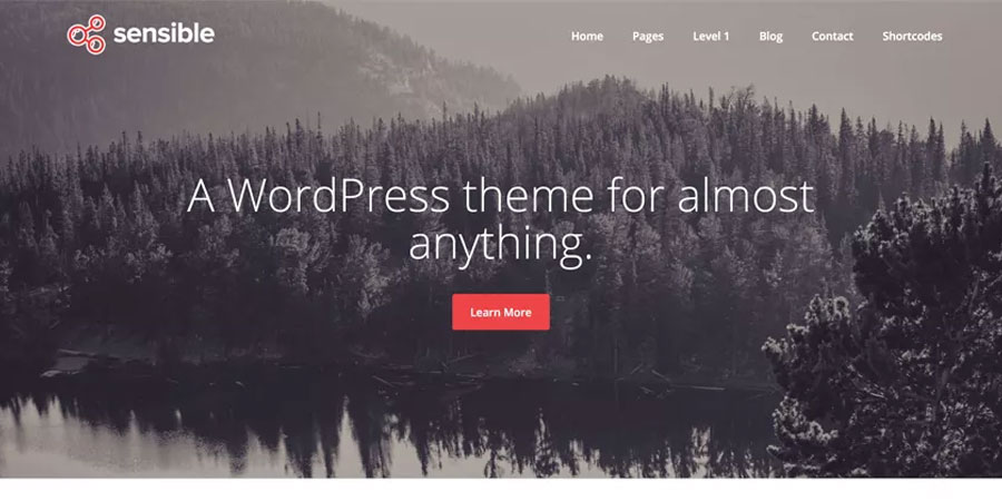 Sensible WP
