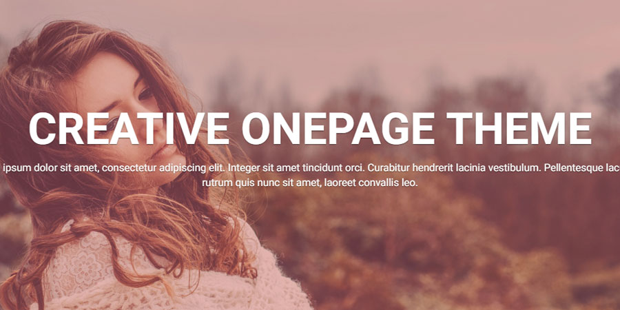 OnePage Lite