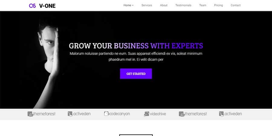 Vone Responsive Business Landing Page Template