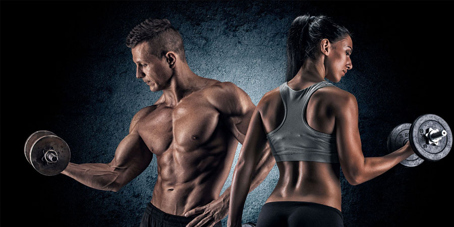 Vyayamshala - Gym & Fitness HTML5 Template