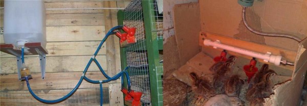 Варианты установки чашечных поилок