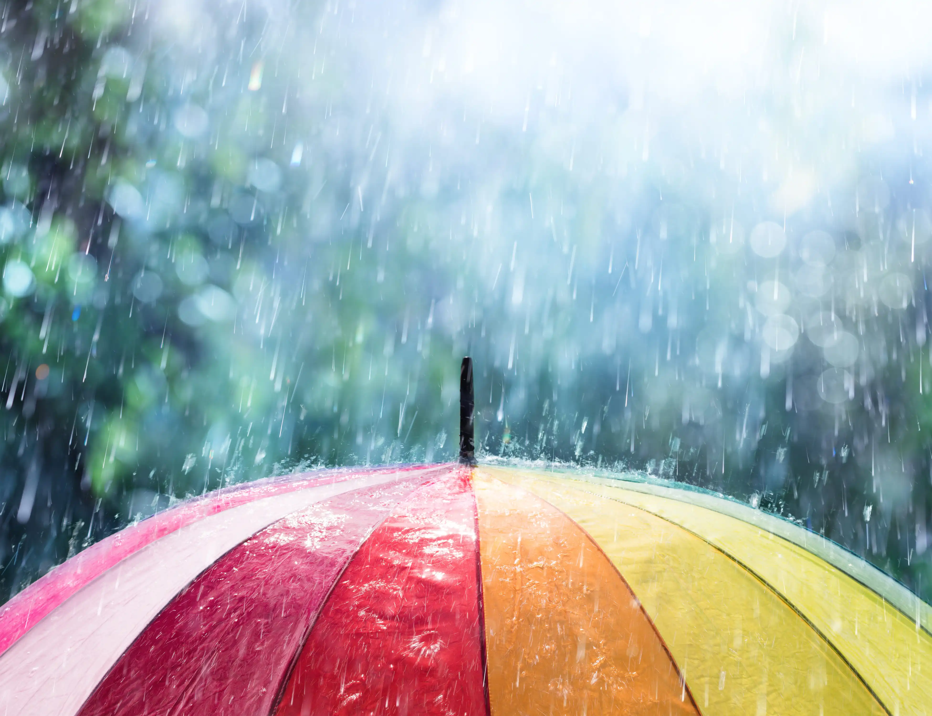 April Showers and Garden Power: Managing Spring Rain