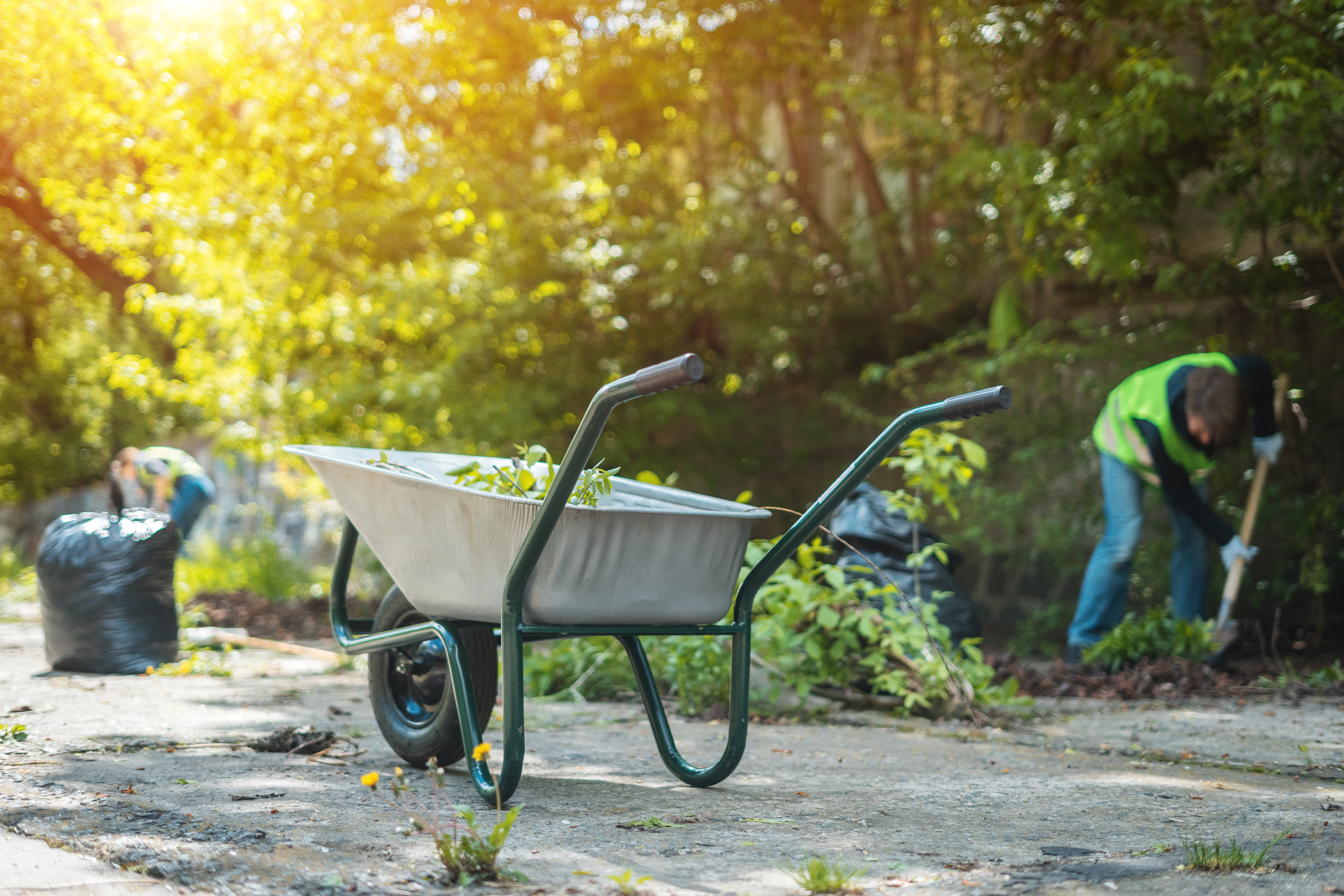 Waking the Garden: Early Spring Soil Preparation Tips