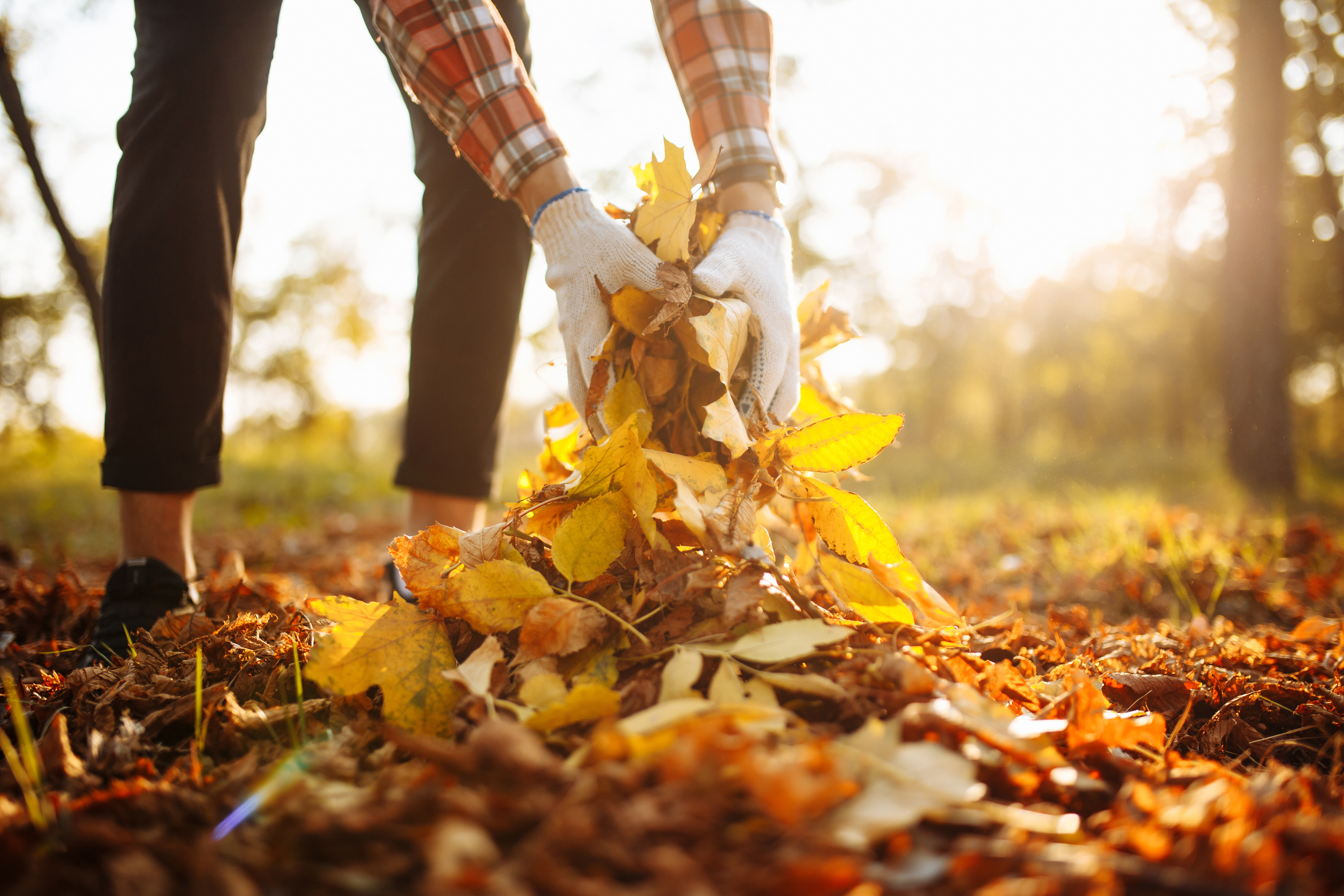 The Autumn Edit: Preparing Your Garden for Winter