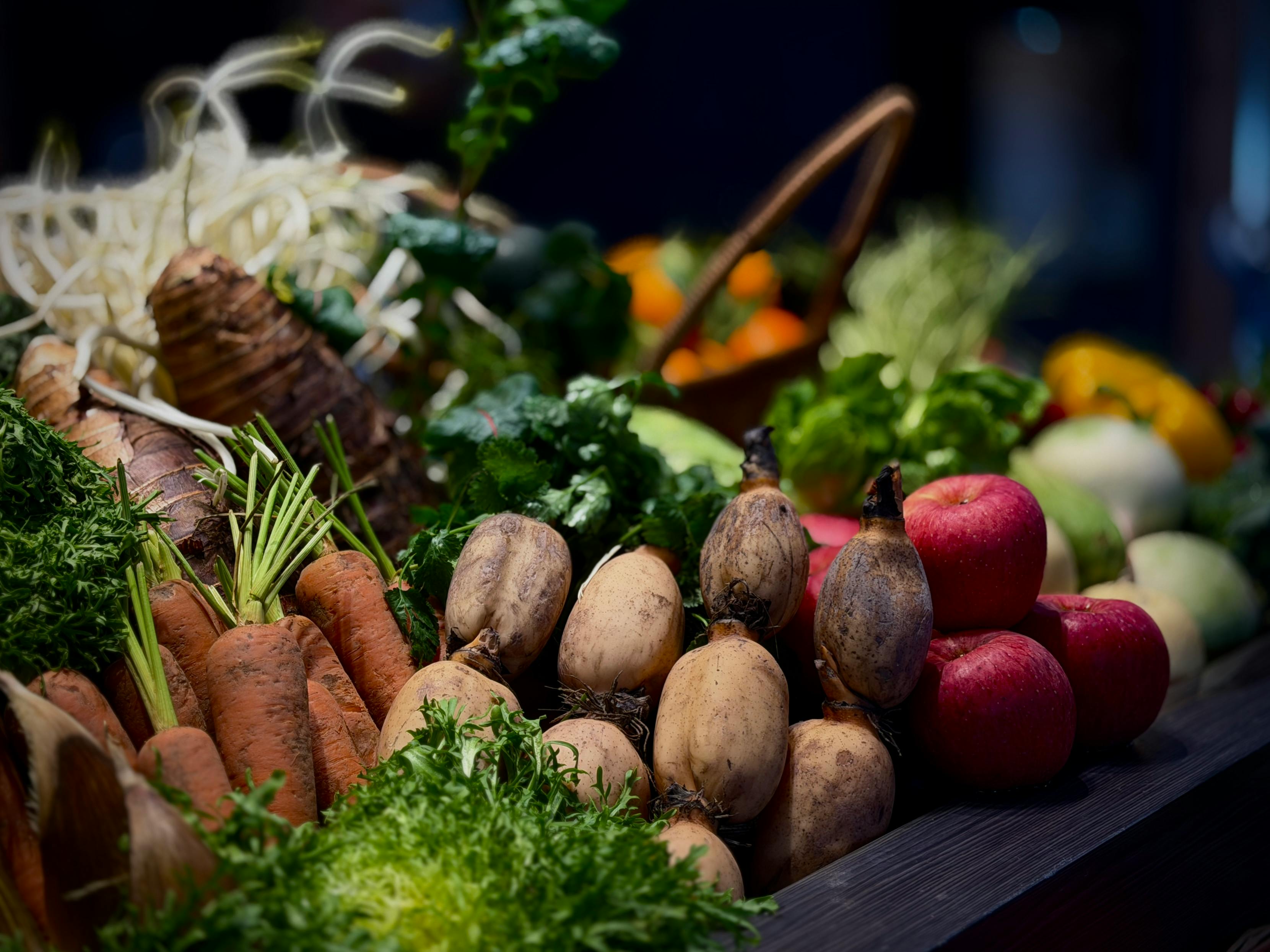 The August Harvest: Making the Most of Your Vegetable Garden at Its Peak