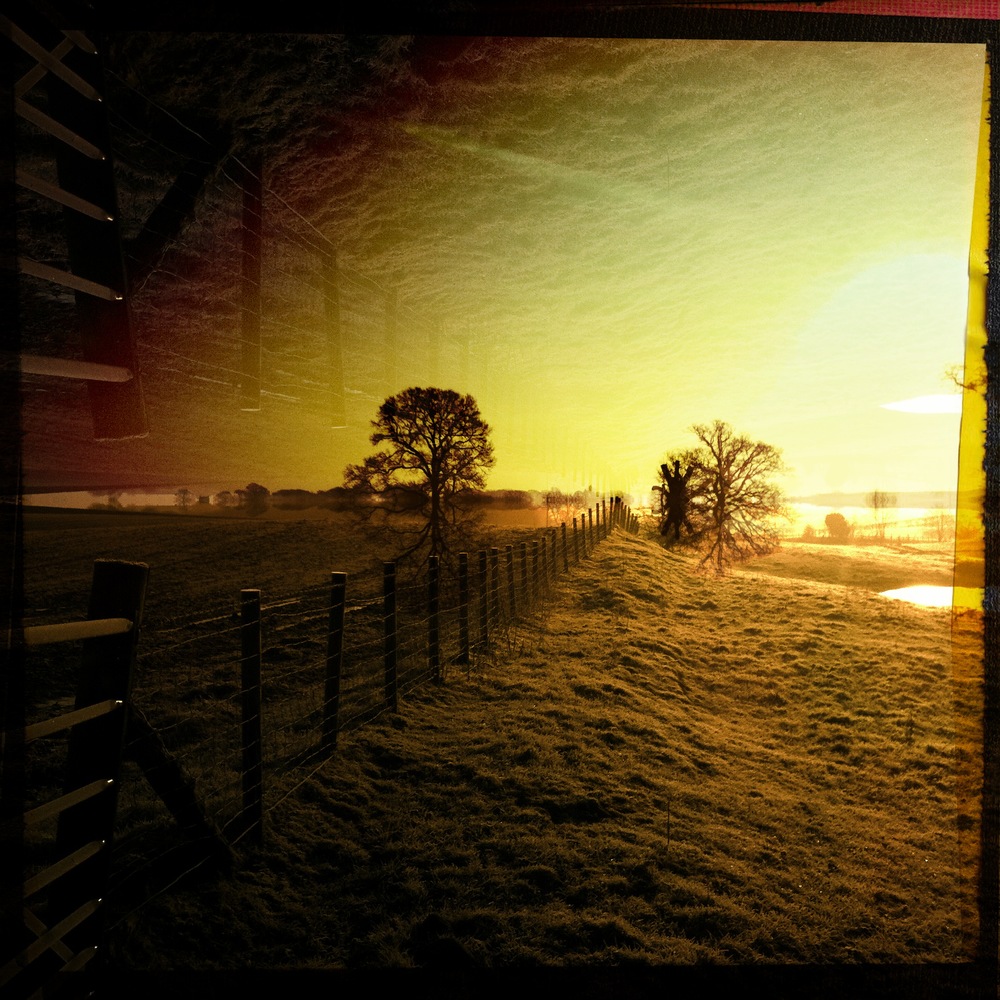 golden morning