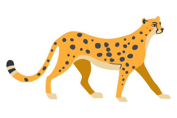 African cheetah cartoon illustration
