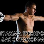 Программа тренировок для эктоморфа для набора мышечной массы