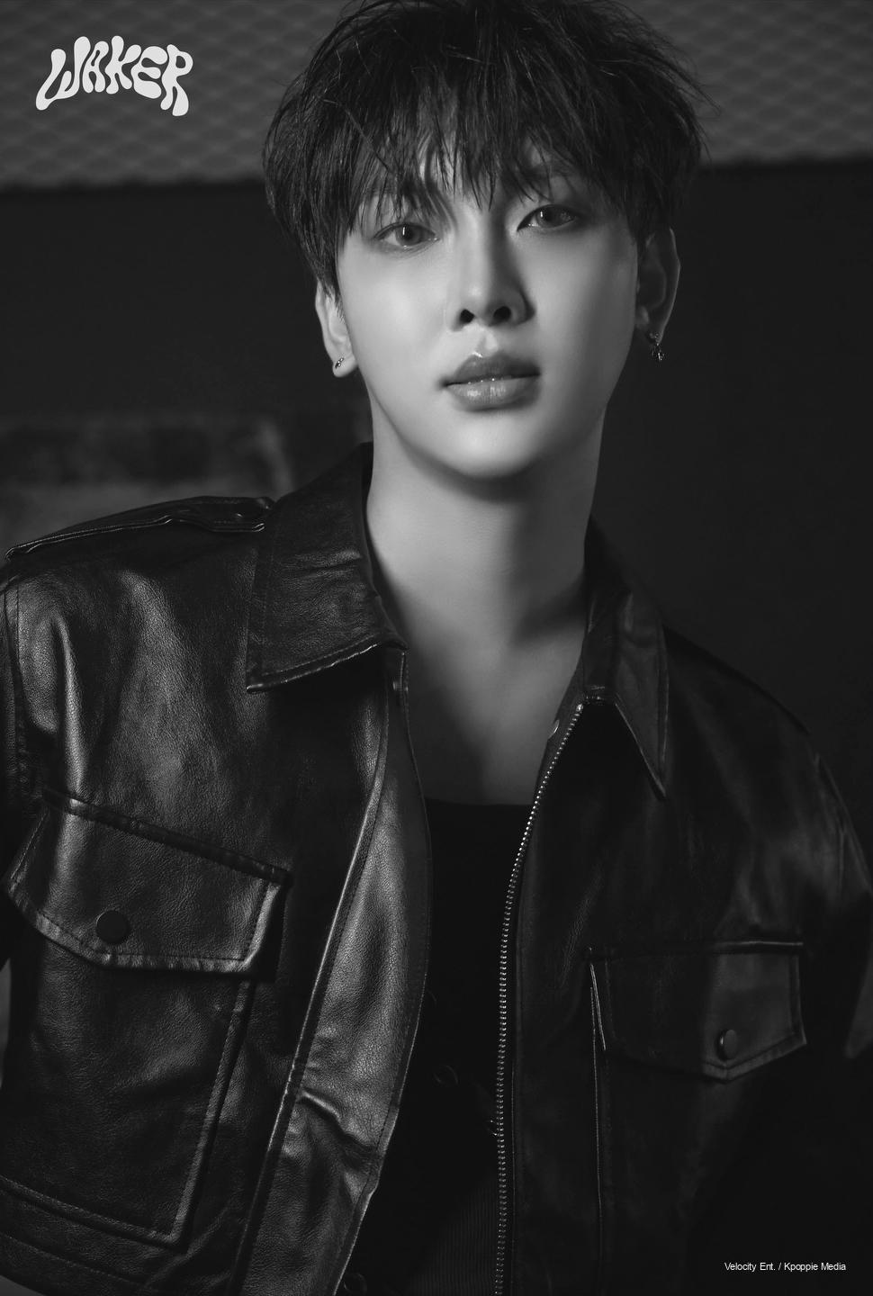 WAKER In Elixir Spellbound concept photo
