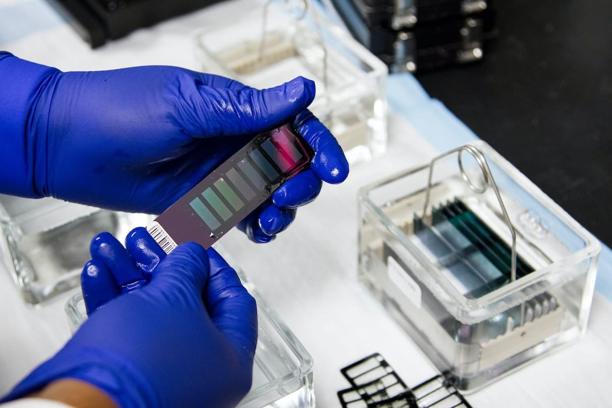 How Fluidic Analytics is changing the world of protein research