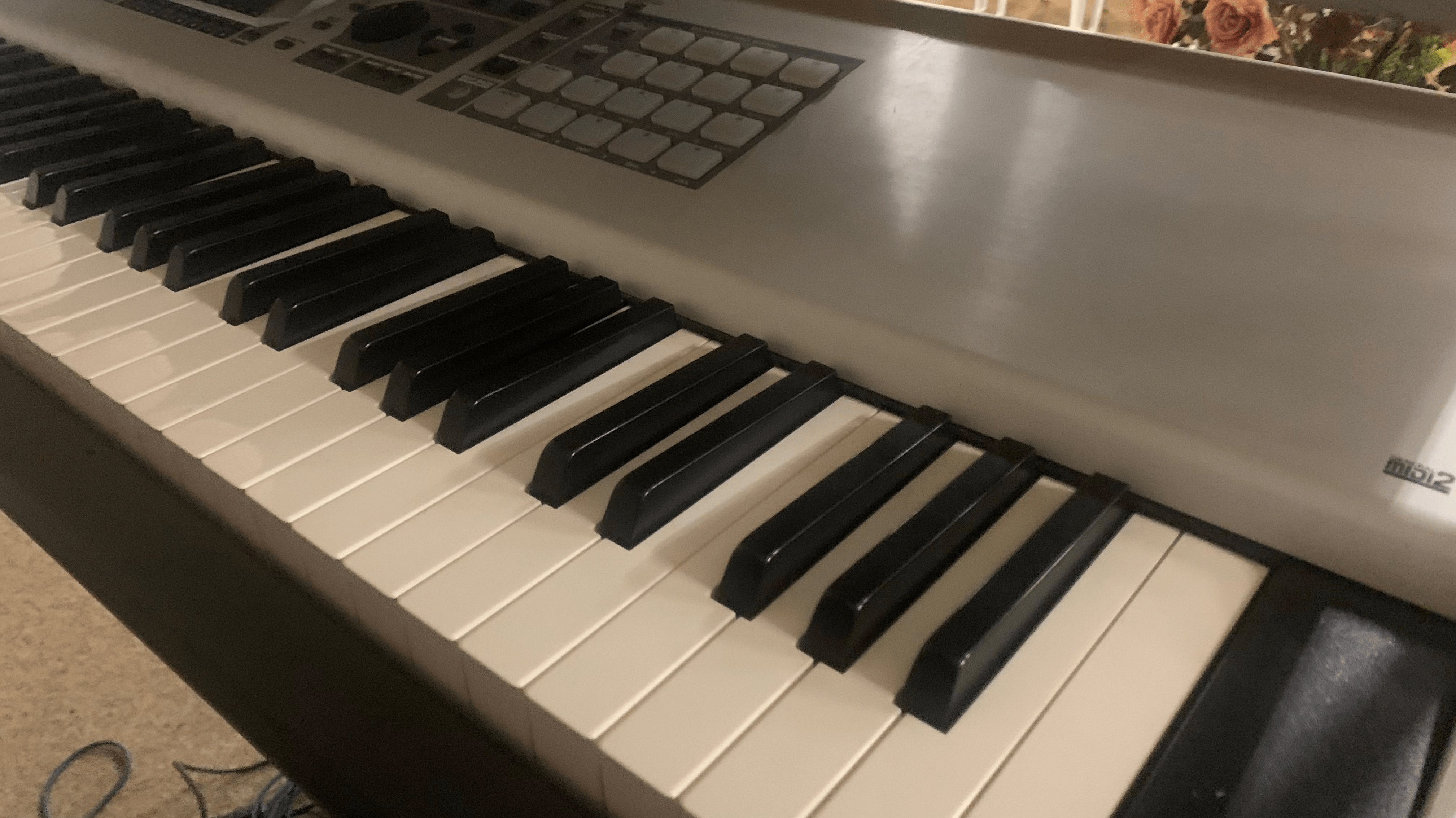Roland Fantom X8-sintetizador Profissional (teclas Pesadas)