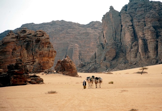 Tenth largest country in the world Algeria Algeria 10th largest largest country in the world